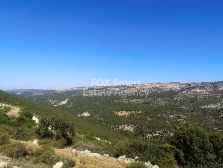 ארץ כפרית למכירה