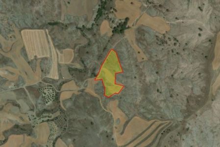 Terreni rurali in vendita