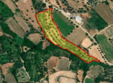 ארץ כפרית למכירה