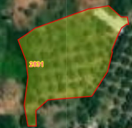 Ευρυχού, Λευκωσία