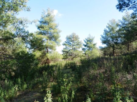 Terres rurales à vendre