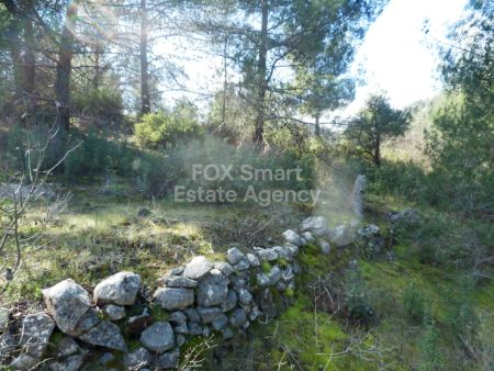 Terres rurales à vendre