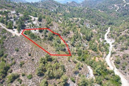 Terres rurales à vendre