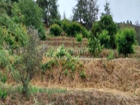 ארץ כפרית למכירה