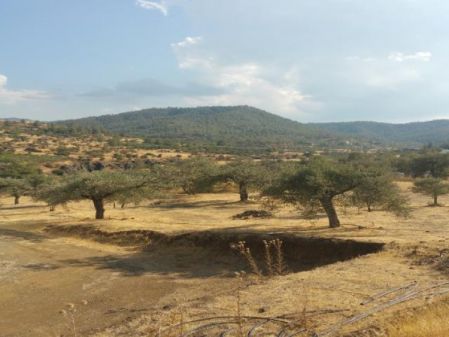 Сельские земли на продажу