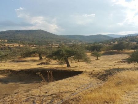 Сельские земли на продажу