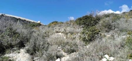Rural Land for sale