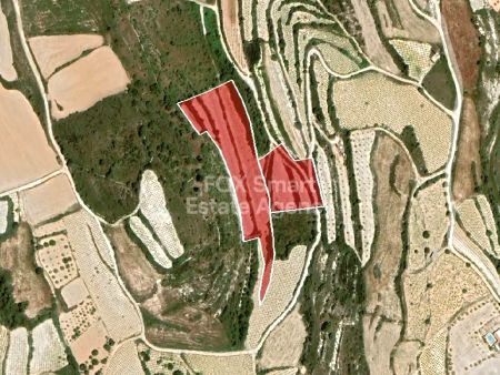 ארץ כפרית למכירה