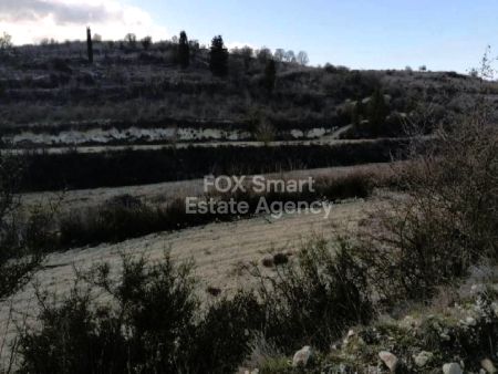 ארץ כפרית למכירה