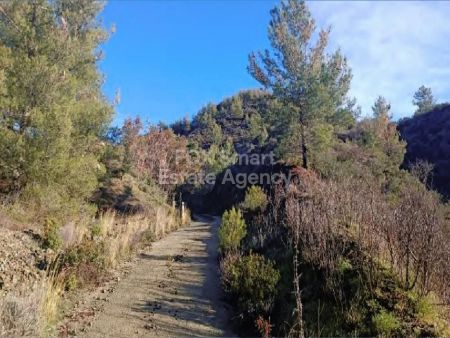 Terres rurales à vendre