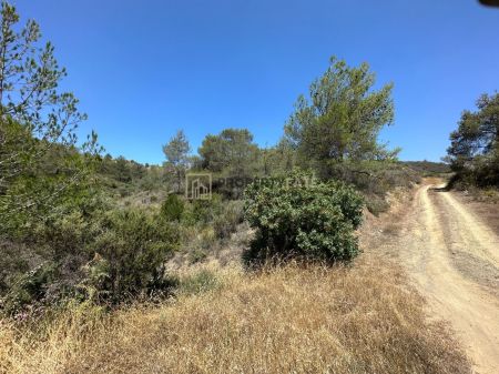 ארץ כפרית למכירה