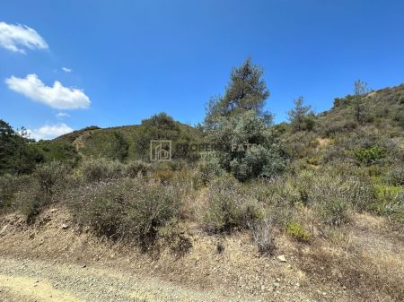 ארץ כפרית למכירה