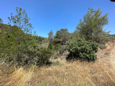 ארץ כפרית למכירה