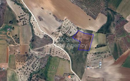 Rural Land for sale