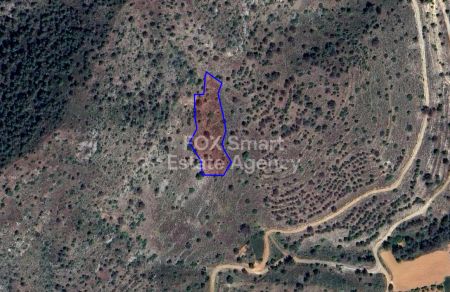 Rural Land for sale