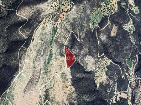 Thumbnail 4 Land For Sale Cyprus