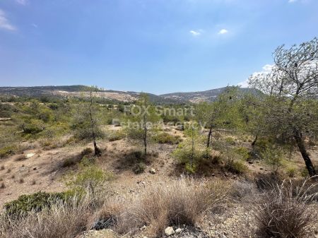 Terres rurales à vendre