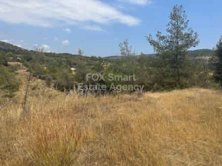 Terres rurales à vendre