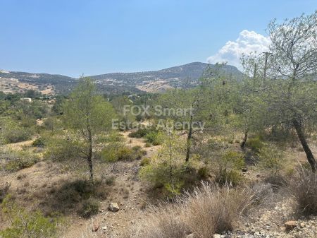 Terres rurales à vendre
