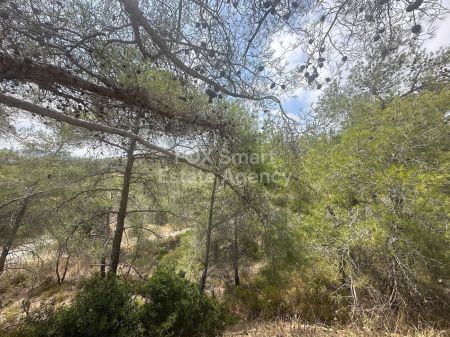 Terres rurales à vendre
