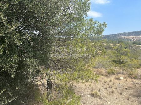 Terres rurales à vendre