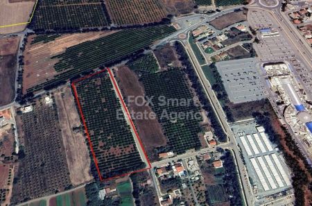 Сельские земли на продажу