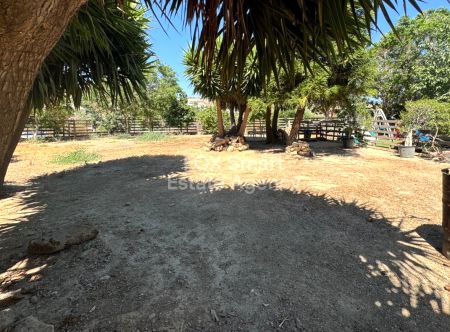 Μανσούρα, Λευκωσία