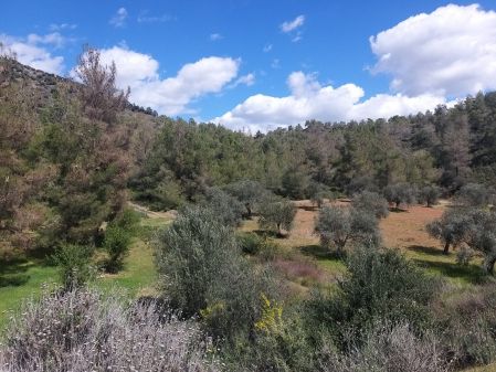 Αγροτεμάχιο προς πώληση