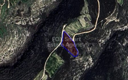 Сельские земли