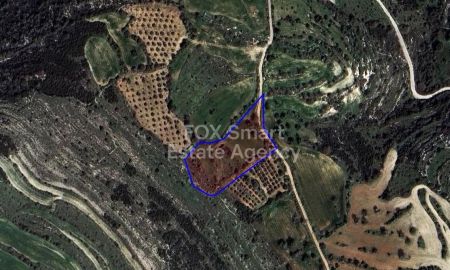 Сельские земли