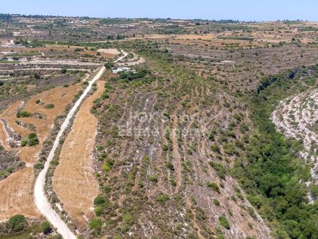 Сельские земли на продажу