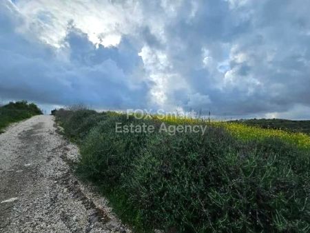 Сельские земли на продажу