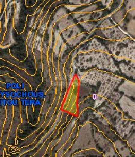 Terreni rurali in vendita