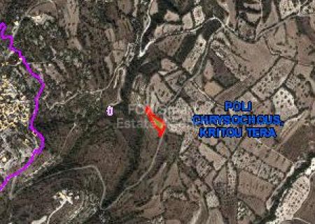 Terreni rurali in vendita