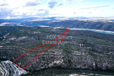 Μανσούρα, Λευκωσία