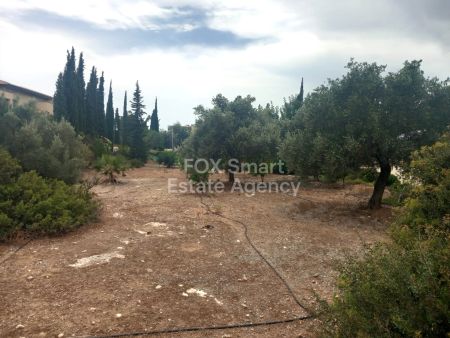 Сельские земли на продажу