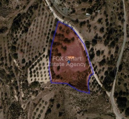 ארץ כפרית למכירה