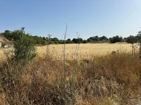 ארץ כפרית למכירה