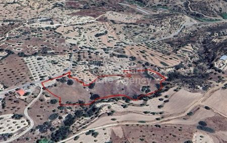 מתיקולוני, לימסול