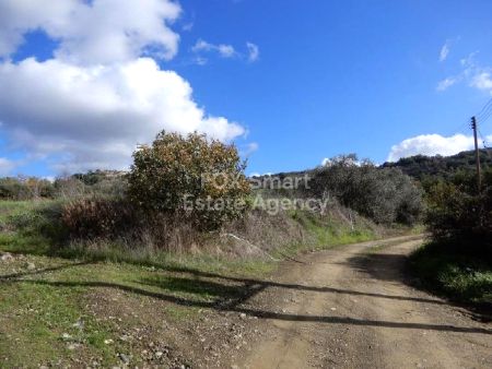 Terreni rurali in vendita