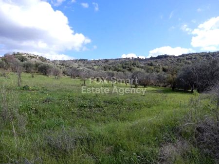 Terreni rurali in vendita