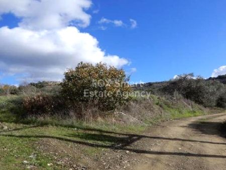 Terreni rurali in vendita