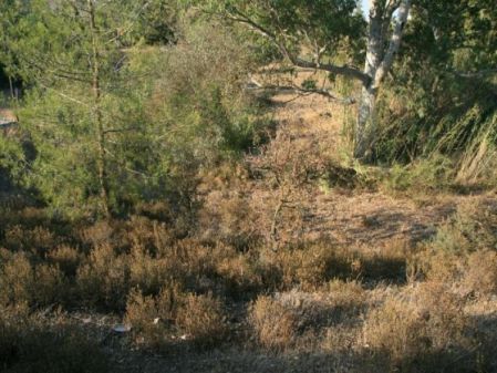 Terreno Rural en venta