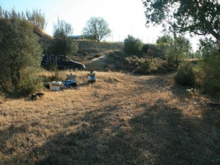 Terreno Rural en venta