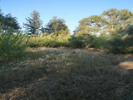 Terreno Rural en venta