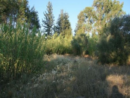 Terreno Rural en venta