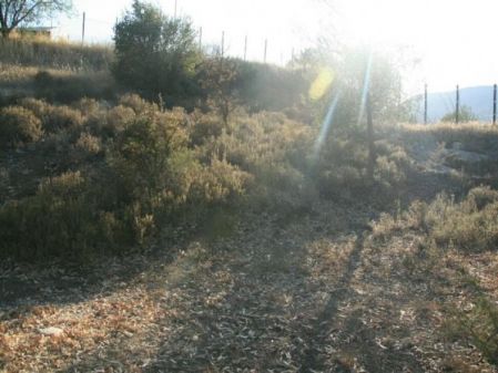 Terreno Rural en venta