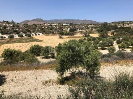 ארץ כפרית למכירה