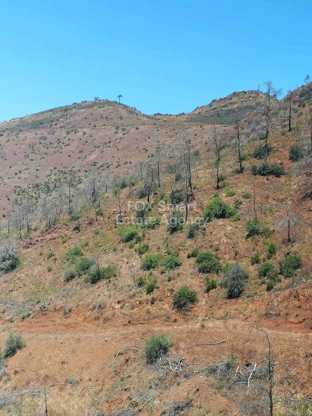 Thumbnail 1 Terreno En Venta Chipre