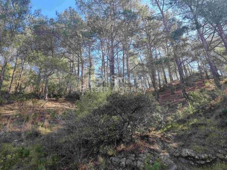 Działka mieszkalna na sprzedaż